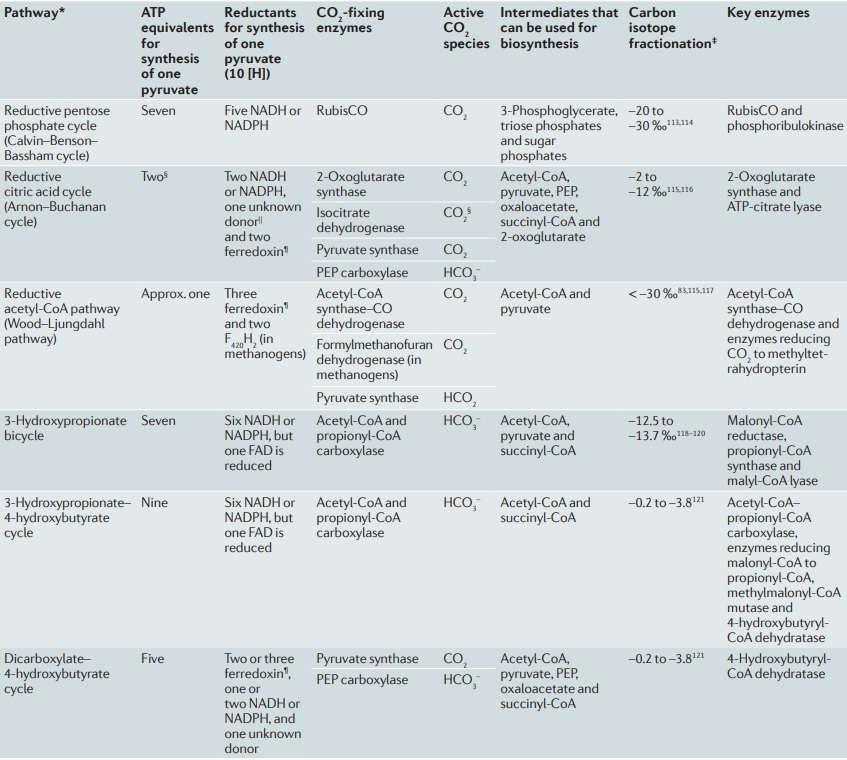 Carbon metabolism is the most basic aspect of life. Pathwa10