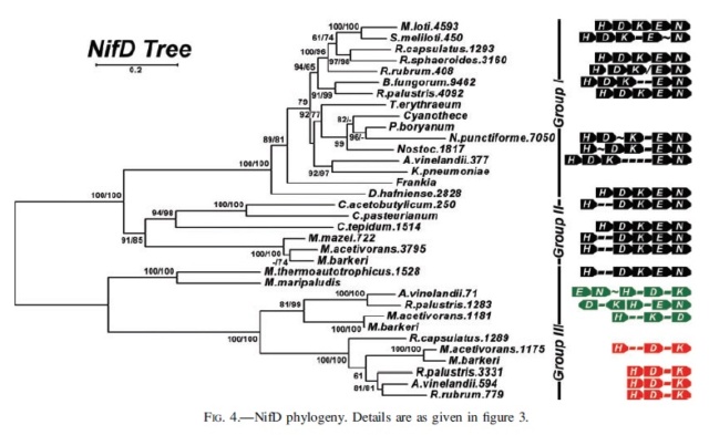 Microorganisms contributing to the Nitrogen Cycle Propos11