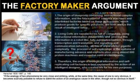 Abiogenesis The Factory Maker Argument