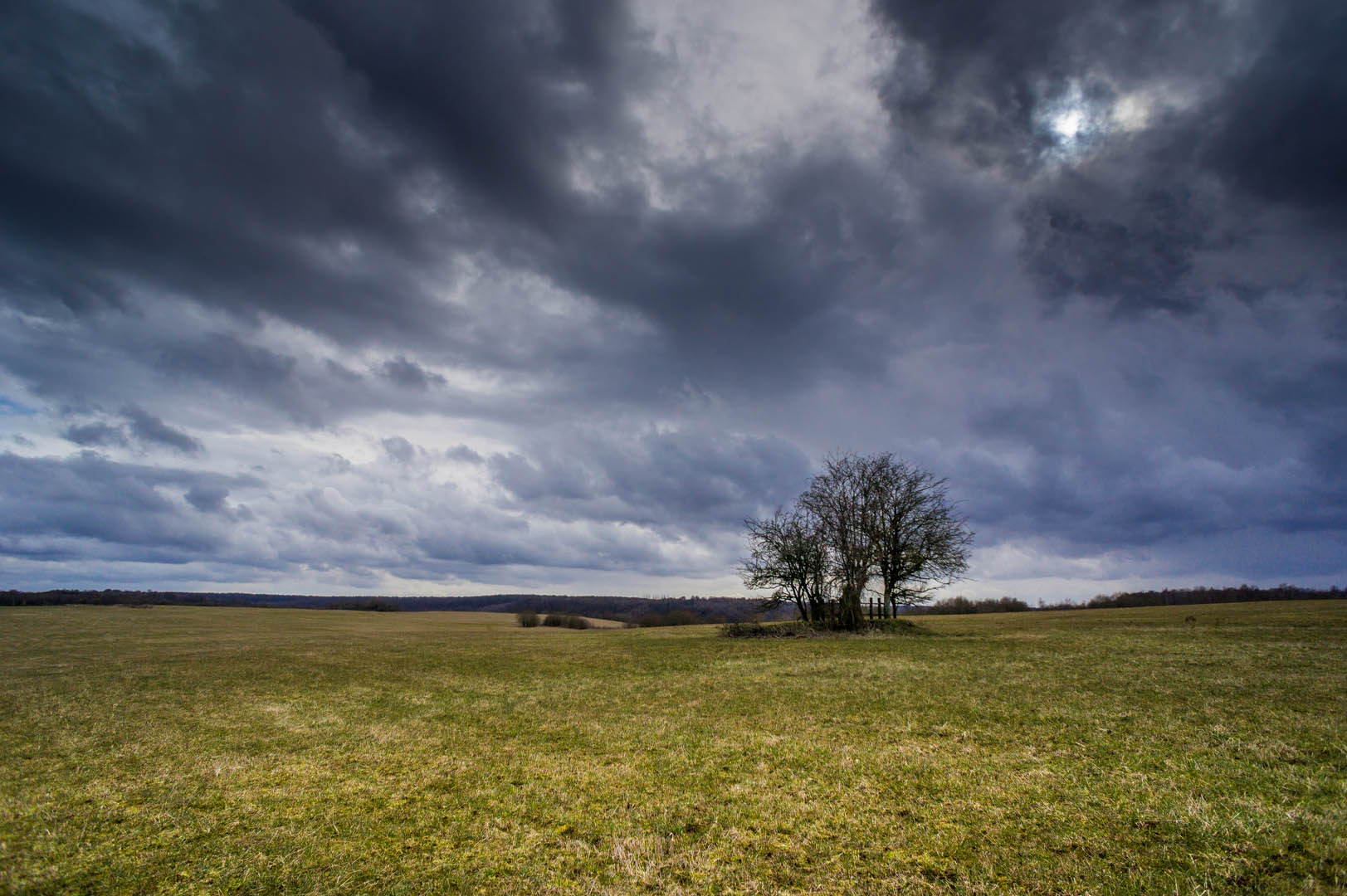 formation des nuages avant l'orage sur le plateau Dsc00715