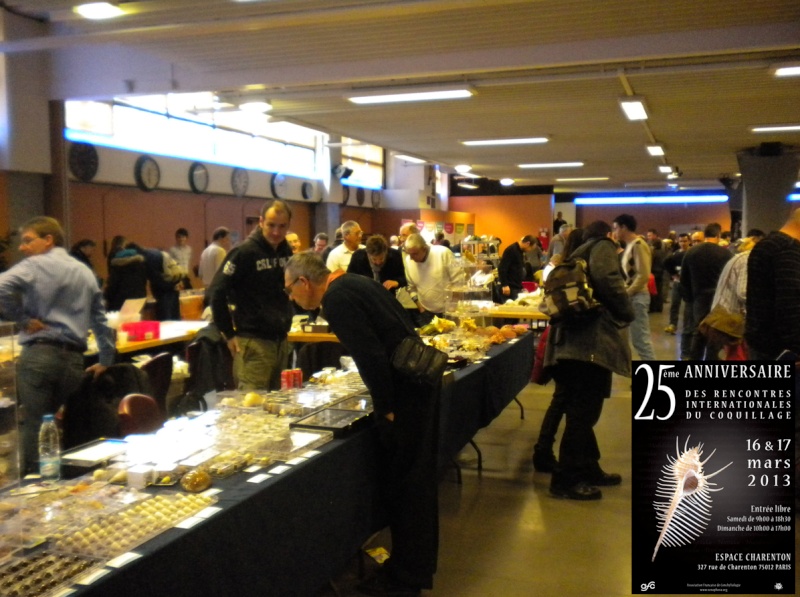 2013 Bourse internationale de Paris - 16 & 17 mars - Page 4 Bourse14