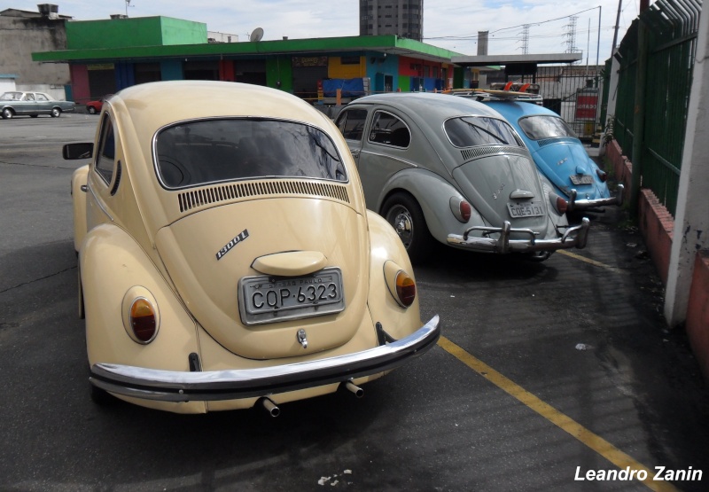 Evento Volksbrothers e amigos 17.02.13 - Com fotos - Sam_1012