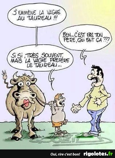  HUMOUR - Page 75 3eec7911