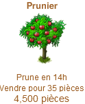 Prunier / Prunier Violet => Prune Sans_257