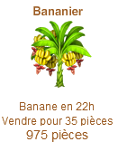 Le Bananier => Banane Sans_469