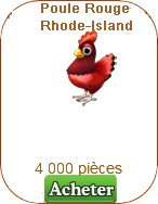 Poulailler de Rhode-Island Sans_t64
