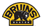 Boston Bruins 16546611