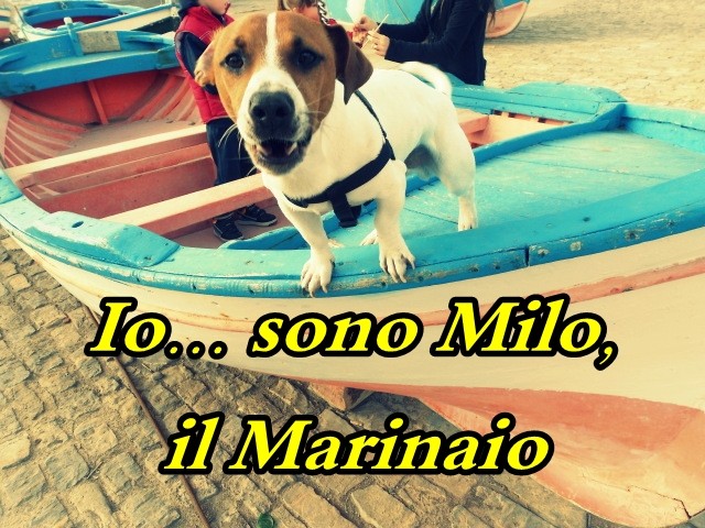 Milo Il marinaio Tt10
