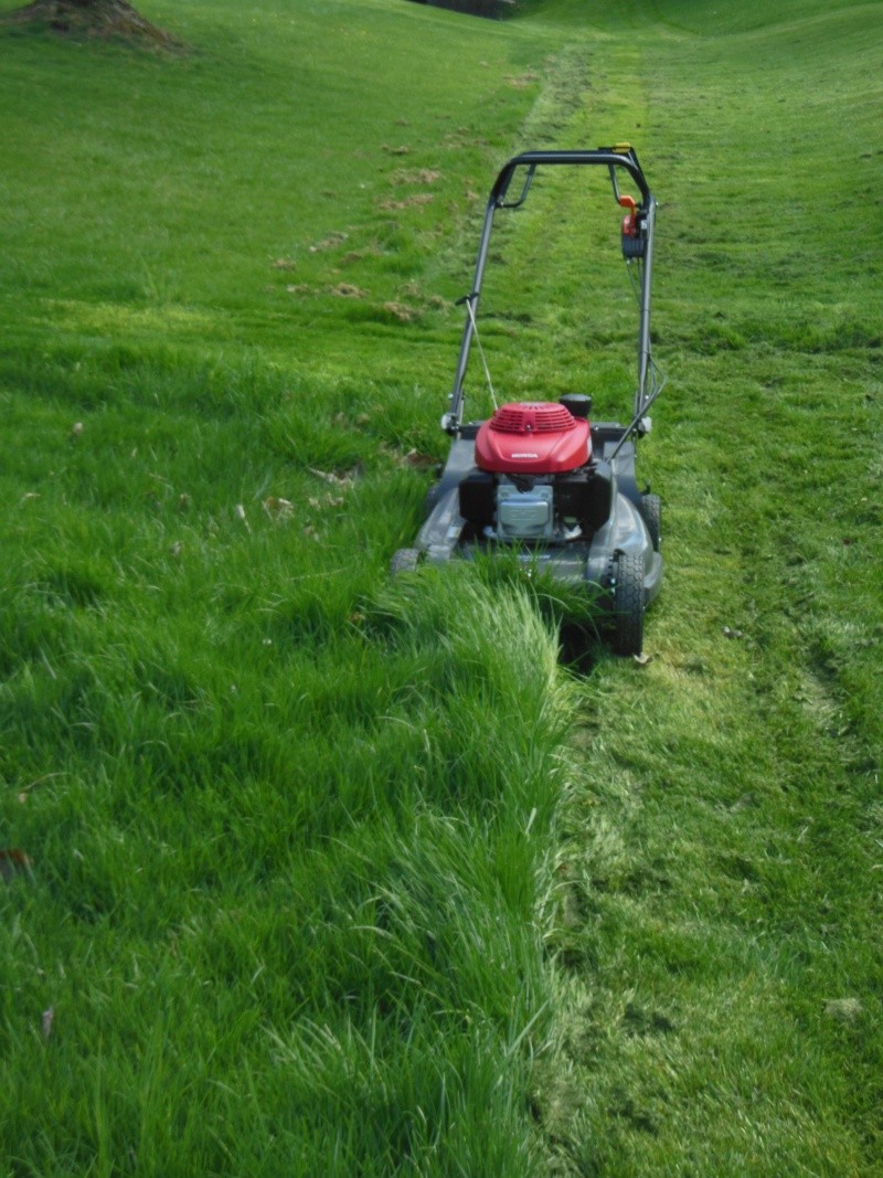 First Cut of the Season Dscn5810