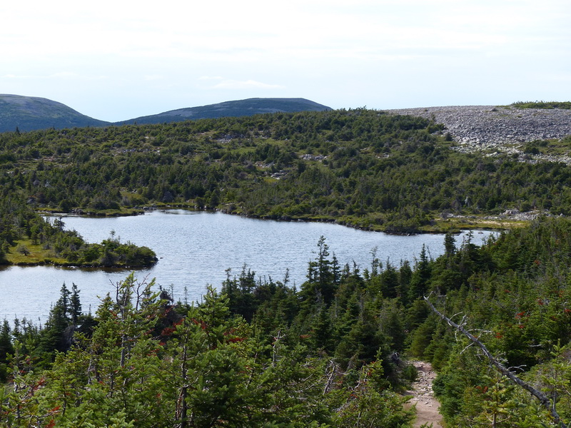 Le Québec (part 2 - La Gaspésie (début)) P1030614