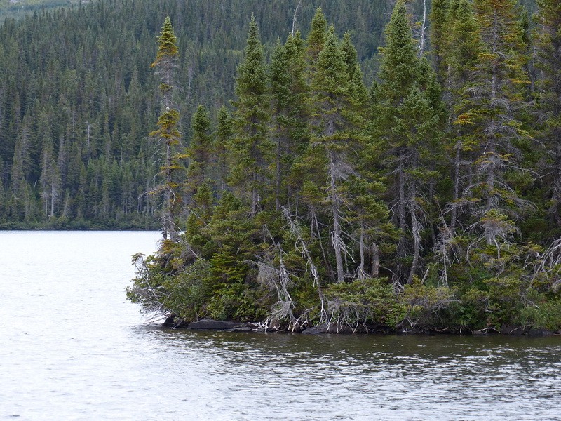 Le Québec (part 2 - La Gaspésie (début)) P1030617