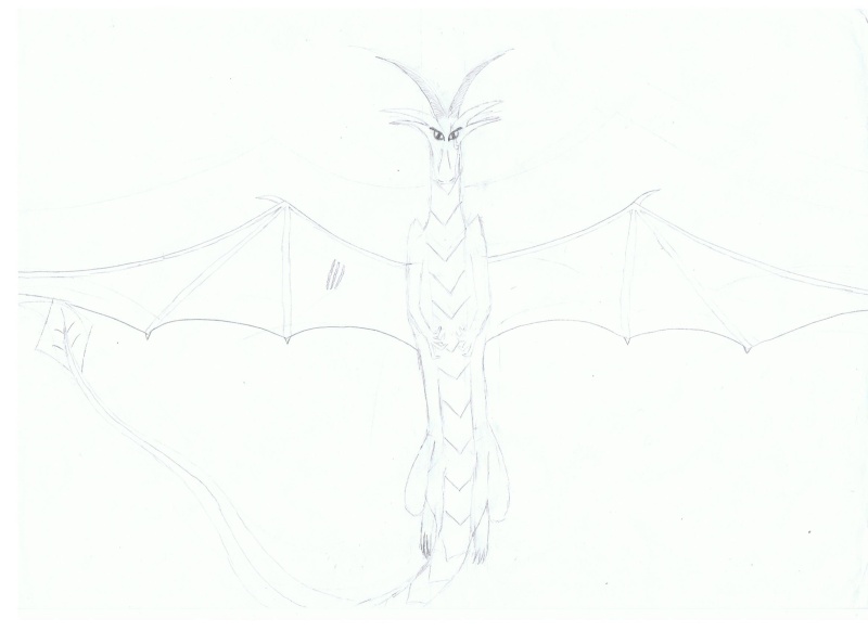 Les Dragons de Llillandrill Dragon11