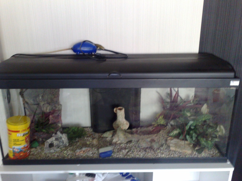 aquarium de 120 litres 20022010