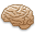 Plumaypapel Brain10