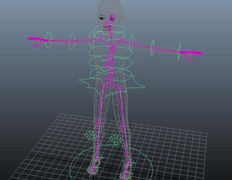 My first rig Rigwip10