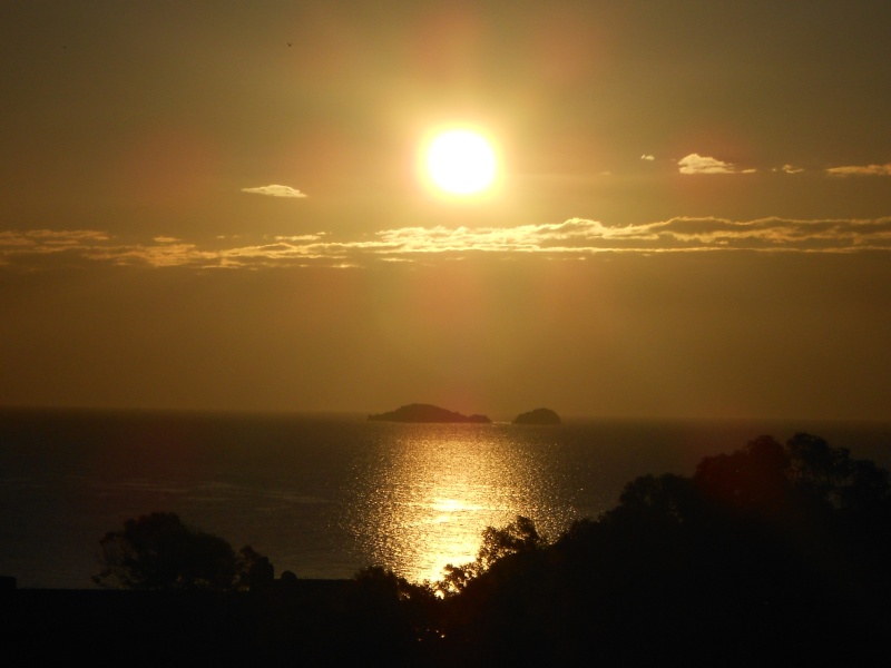 Mon Île du soleil levant - Page 2 01_01_10