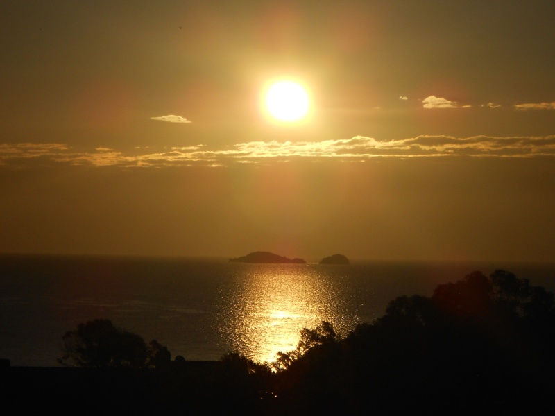 Mon Île du soleil levant - Page 3 01_01_10