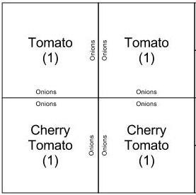 Tomatos and Onions in SFG Spring11