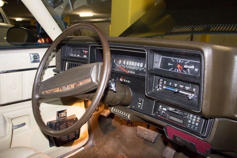 Dash Bezel and Lower Door Panel Dashbo10