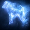 Les Patronus 15_ehy10