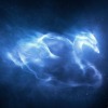 Les Patronus Resize10