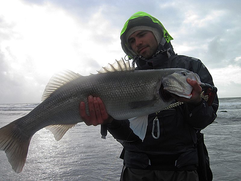 Le foto piu' belle fatte in pesca. - Pagina 7 Salvo111