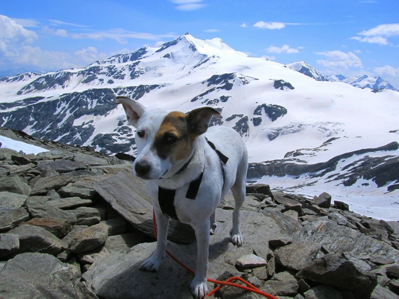 Tour: Carla erklimmt die Butzenspitze (3300m) Butzen29