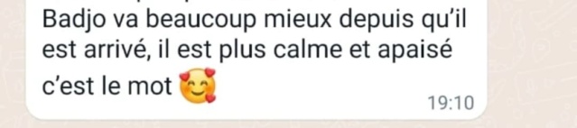 PALMA - SF né en 2003 - adopté en septembre 2022 par Mickaëla 30656110