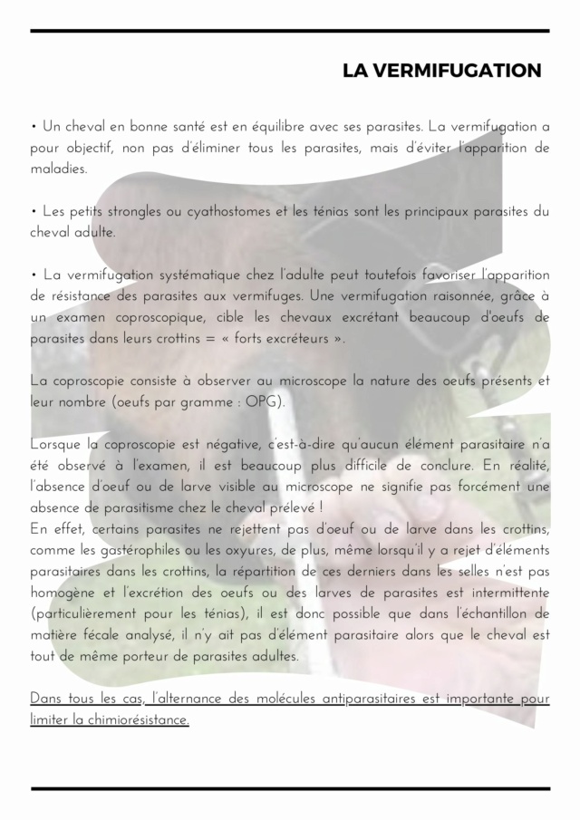 GPLV - Lettre Mensuelle n°119 - Novembre 2022 843