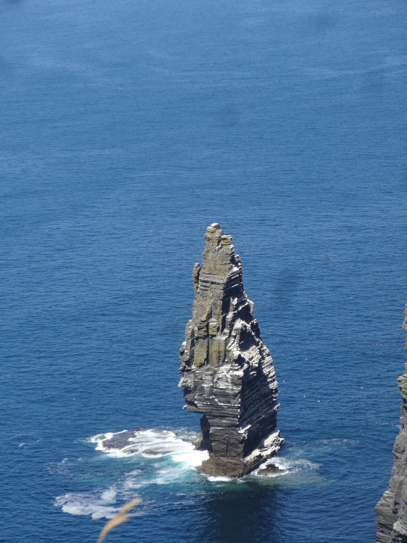 Maya et Willy en Irlande Dsc06213