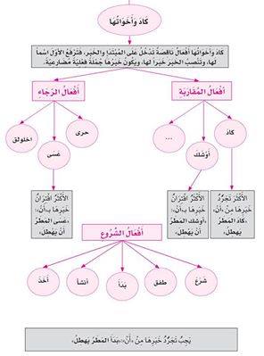 كاد واخواتها 9891_510