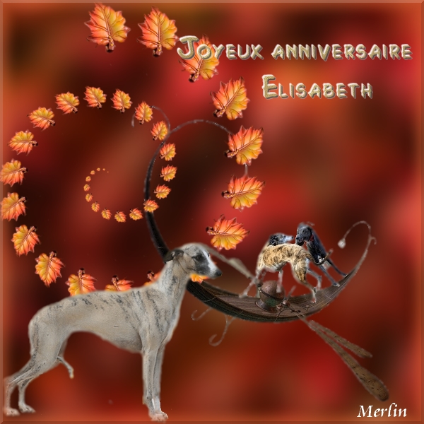 Elisabeth C Est Ton Anniversaire Aujourd Hui Salle Des Fetes Nimo Elisabeth C Est Ton Anniversaire Aujourd Hui Salle Des Fetes Nimo