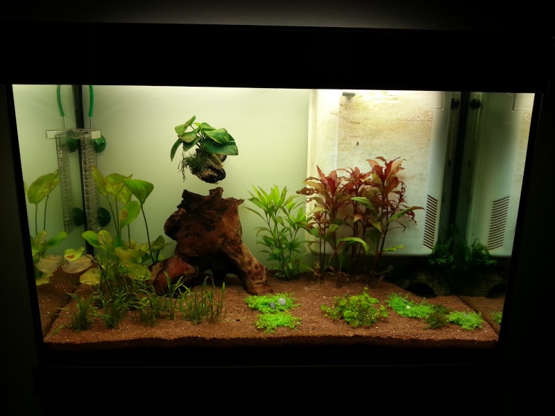Lancement aqua amazonien 128L 510