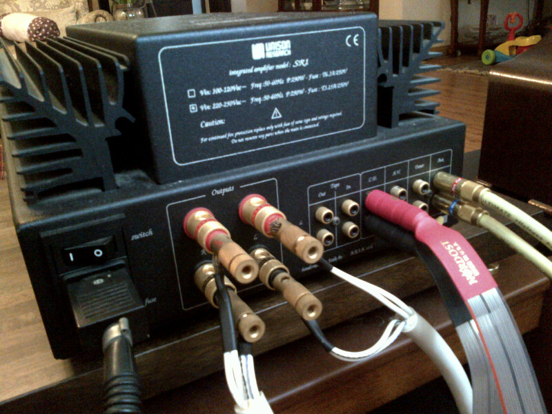 Unison Research SR1 hybrid amplifier (SOLD) Damans11