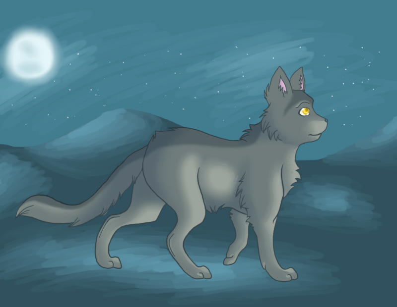 Ashpaw - Apprentice of ThunderClan 5ea58a10