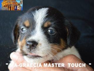 Master Touch  Image16