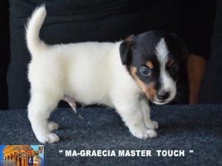 Master Touch  Image17