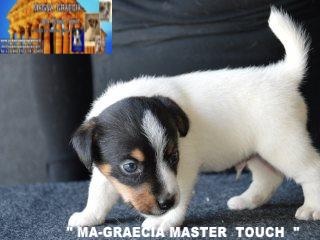 Master Touch  Image19