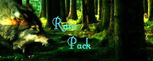 Packs, their leaders, and metals  Rainpa10