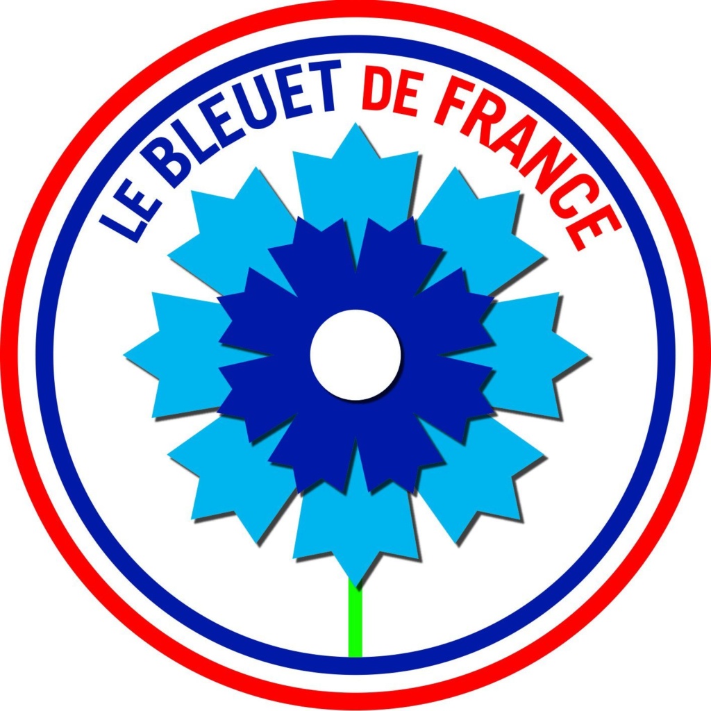 Le  bleuet de France - le coquelicot anglo-saxon .. ( signification)  Servei55