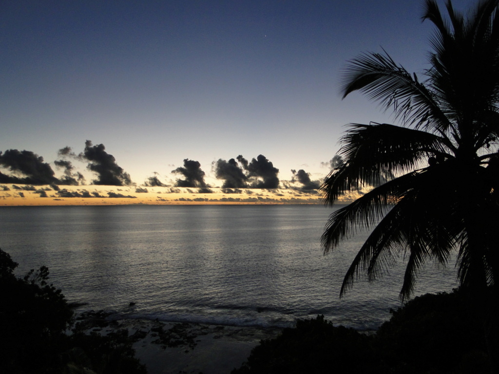 Niué du 2 au 9 décembre 2019 Dsc07028