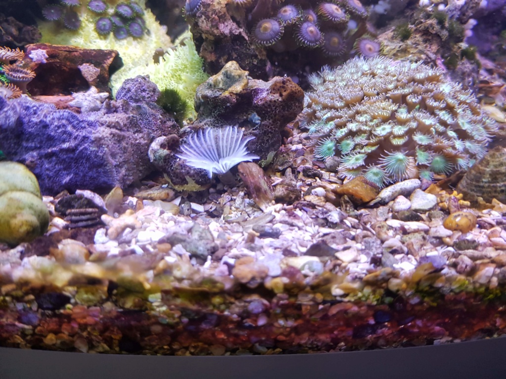 Panoramique 180L - Page 3 20180717