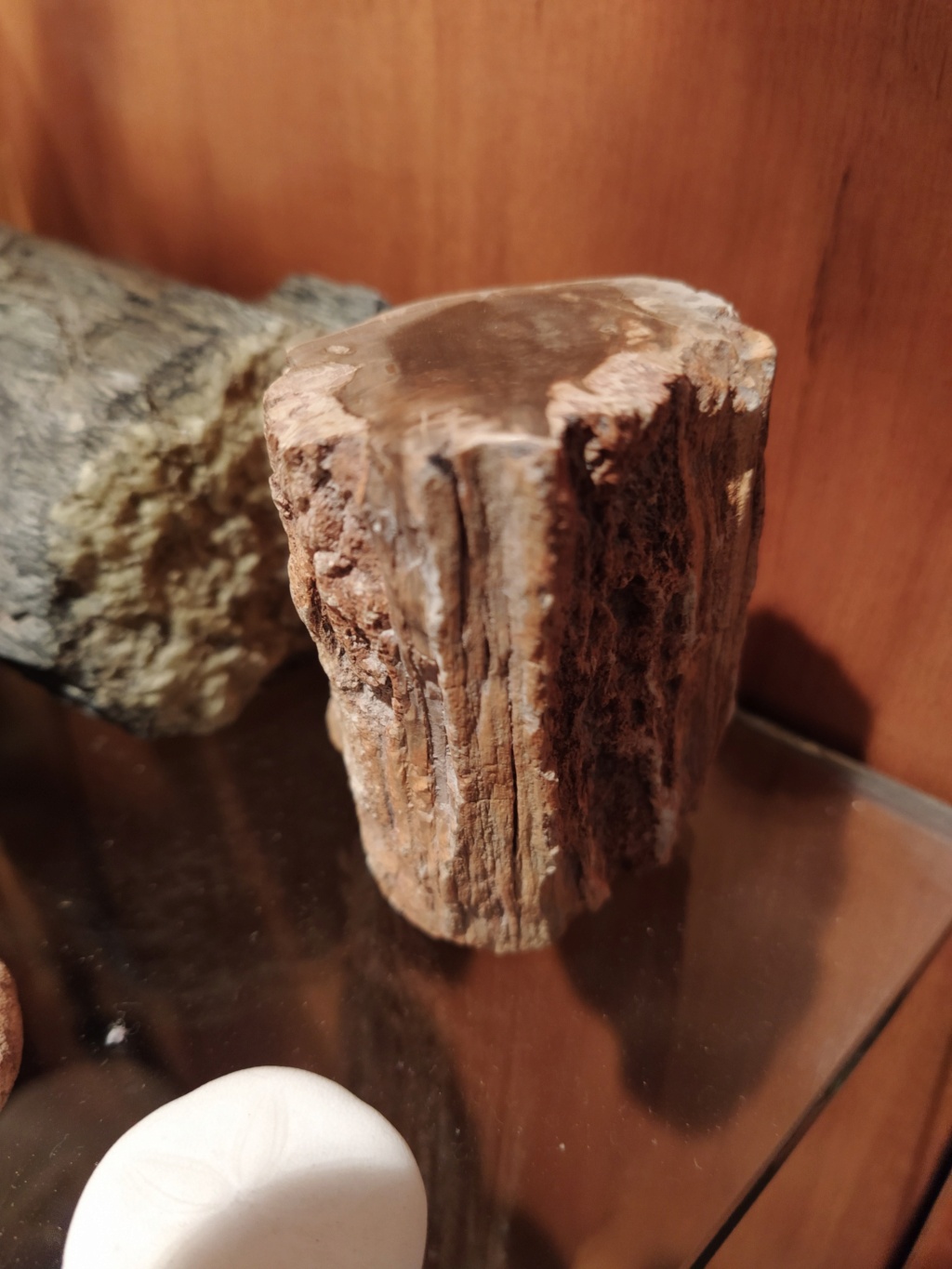 Madera fosilizada o un simple trozo de madera con piedras incrustadas?? 2021-019