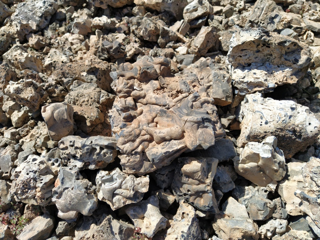 Mineral cerca de una mina 2021-024