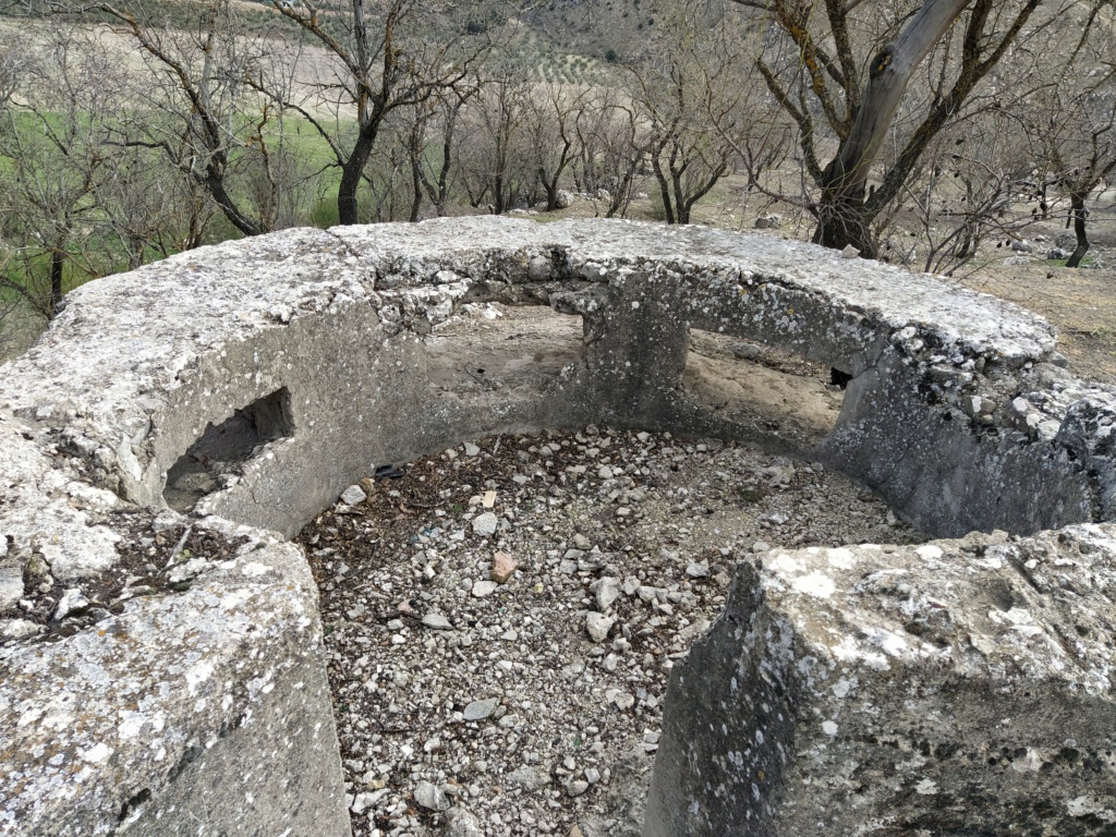 Necrópolis mozárabe, dólmen y trincheras de Tózar (Granada) 2022-076