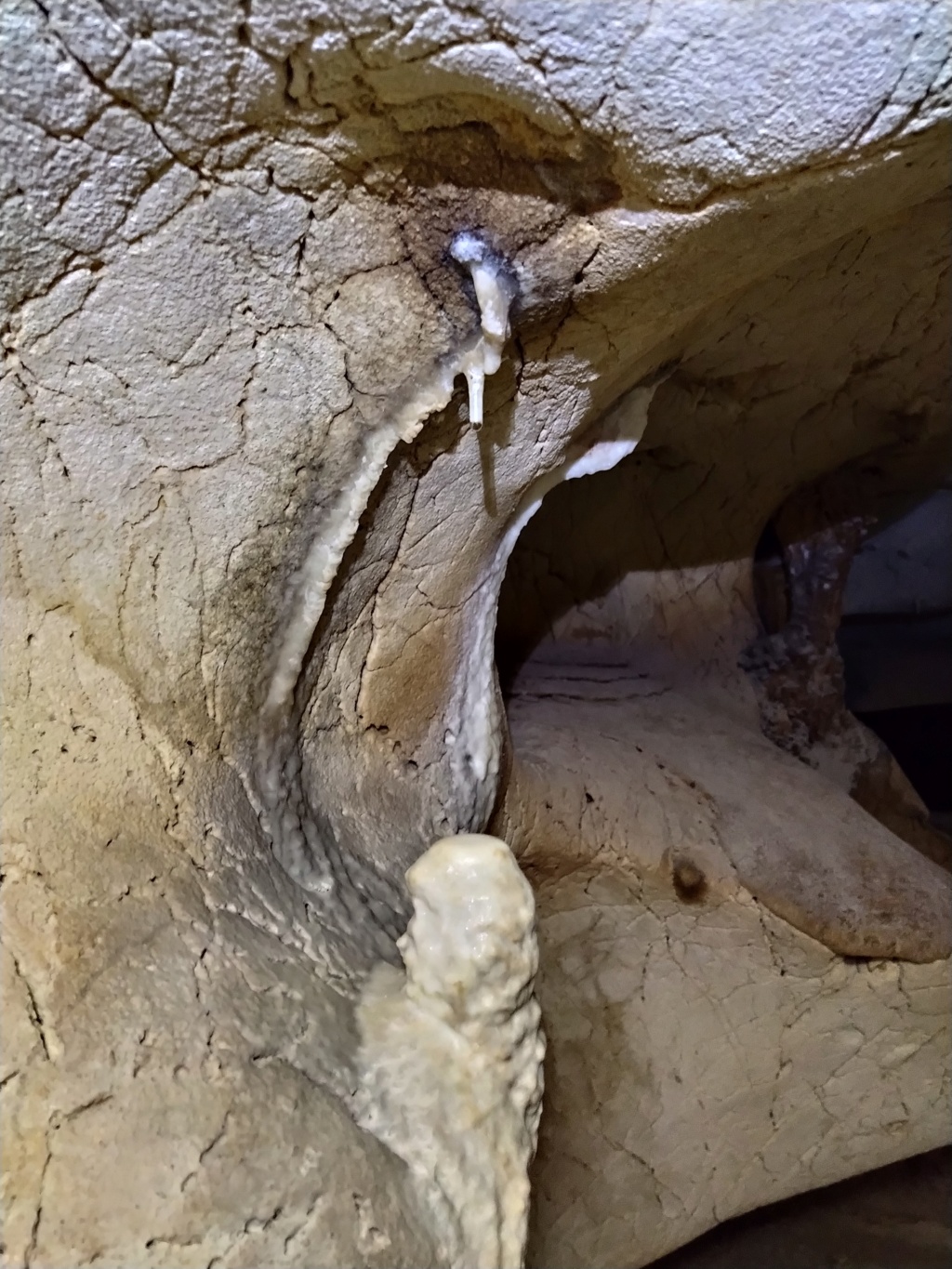 Cueva de la Victoria, Málaga 2022-169