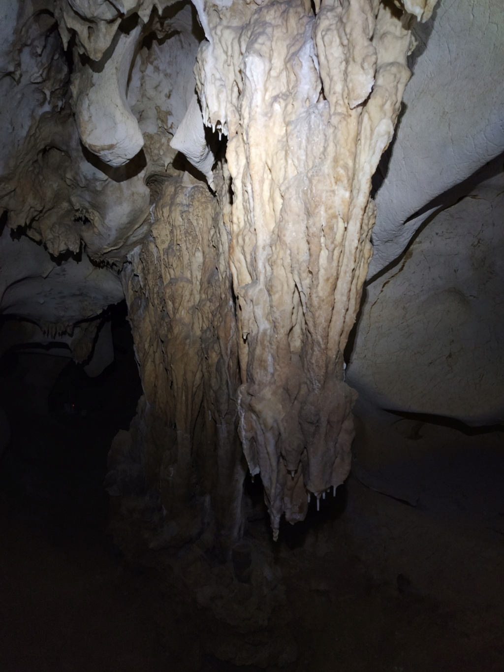 Cueva de la Victoria, Málaga 2022-170