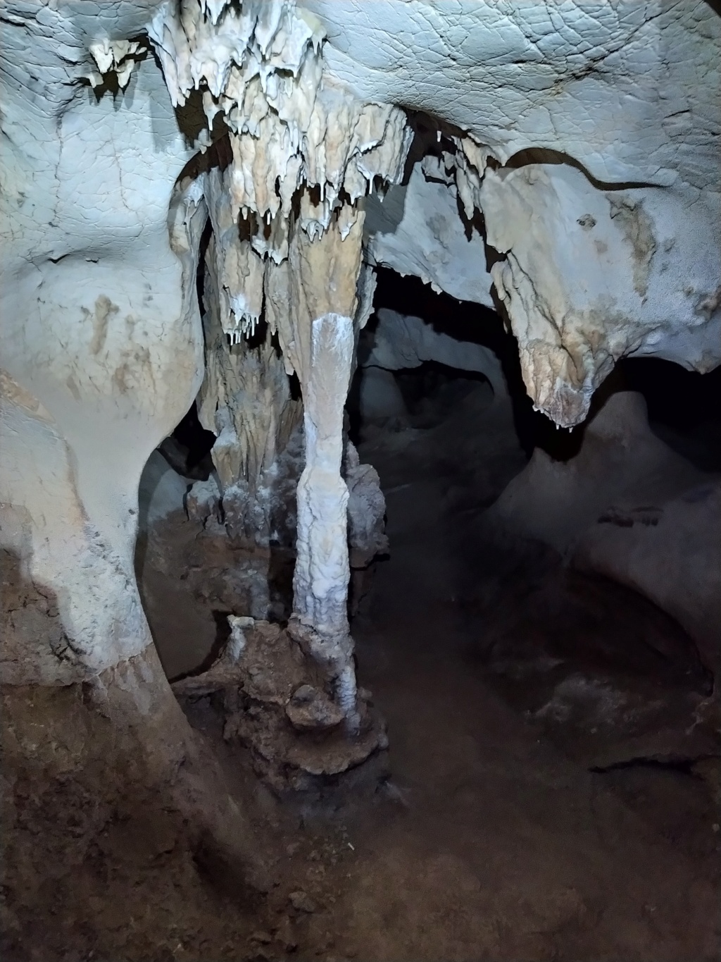 Cueva de la Victoria, Málaga 2022-172