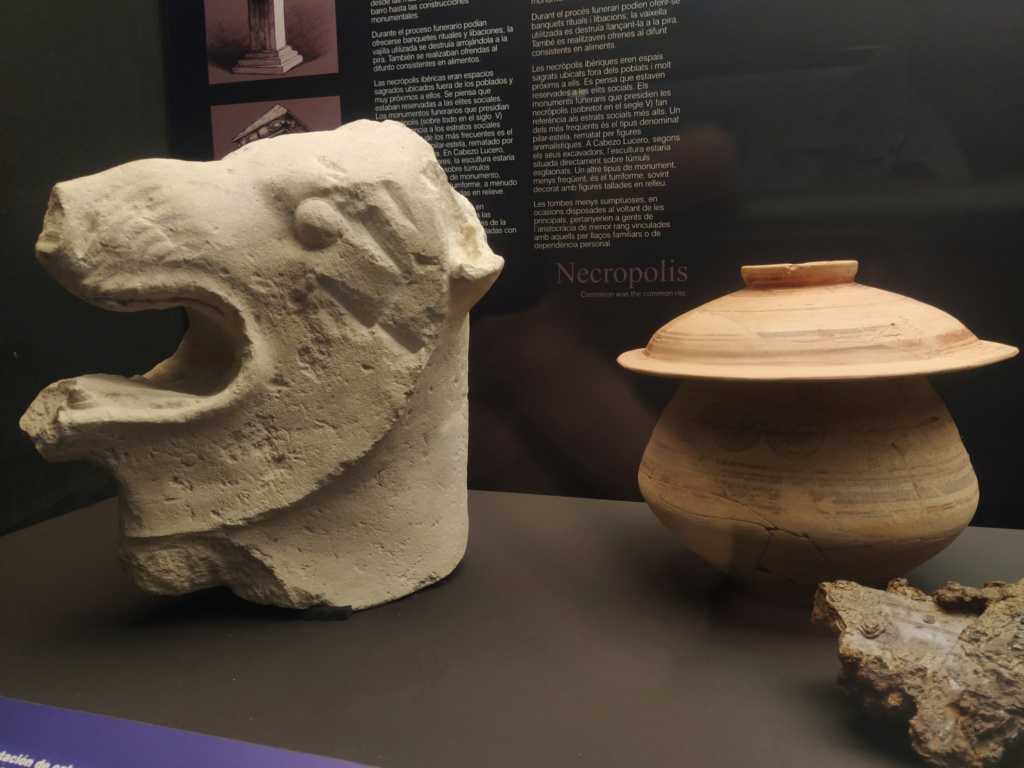 El legado de las dinastías Qin y Han. Los guerreros de Xi'am. Museo Arqueológico de Alicante 2023-248