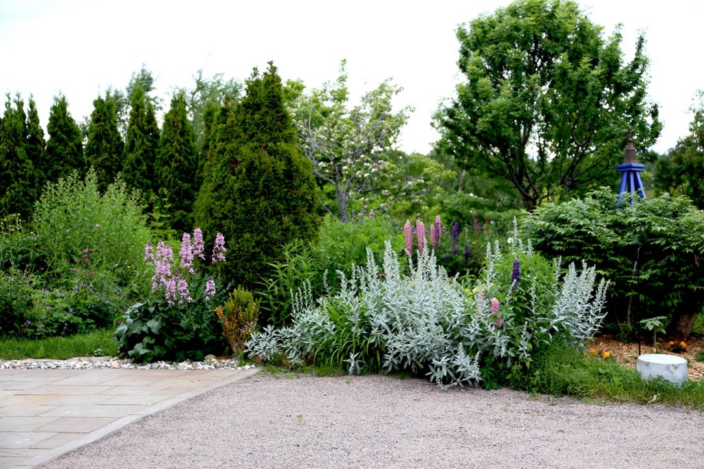 LES JARDINS DE SAINT-ÉLYSÉE DE BERSIMIS - Page 3 Bersi158